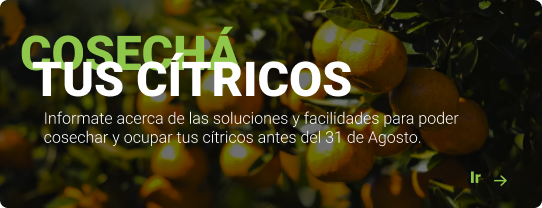citricos
