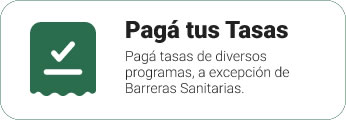 Paga tus Tasas