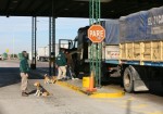 IMG_9279