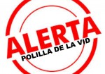 ALERTA POLILLA