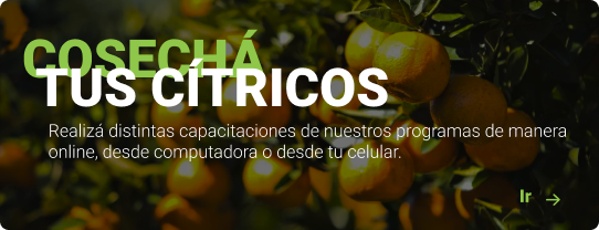 citricos